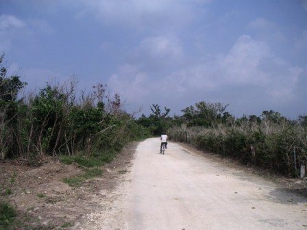 okinawa10