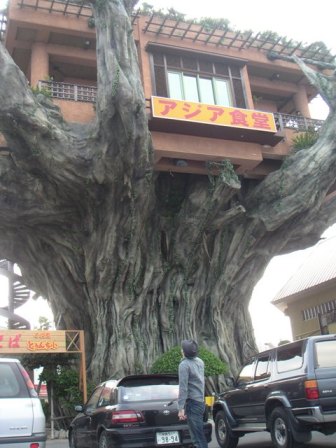 okinawa01