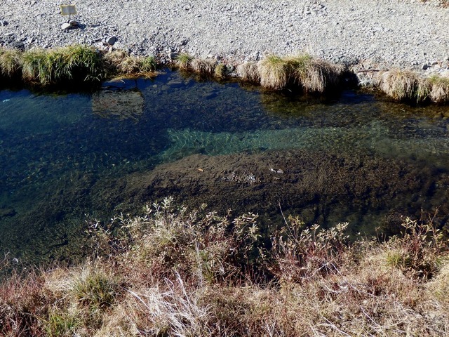 P1160003
