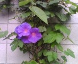 b0ae1237.jpg