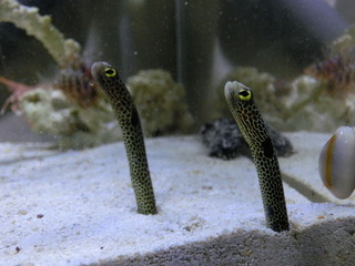 CIMG0460