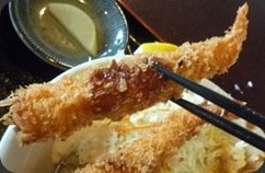 P1700818 P1700818