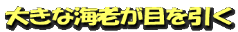Â礤ʳ¤Ï·¤¬Ìܤò°ú¤¯