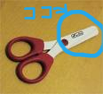 BlogPaint