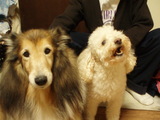 そこそこそこ〜〜