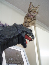 おっしゃぁ〜〜