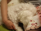 眠いzzz