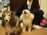 わぉぉぉ〜〜ん