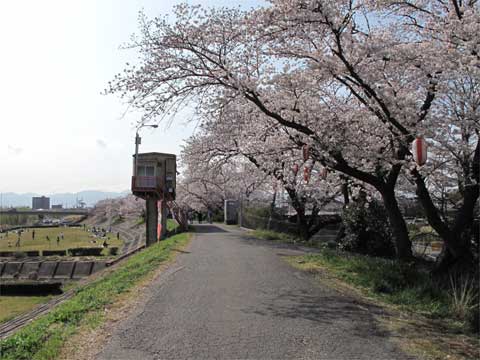 20110409_2