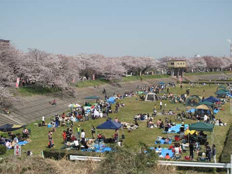 20110410_4
