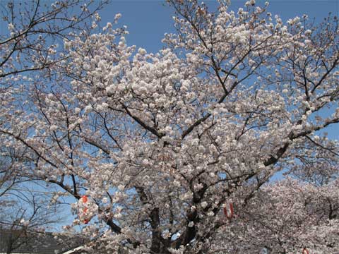 20110409_1