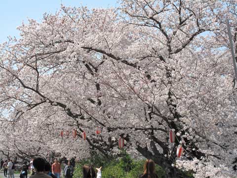20110410_2