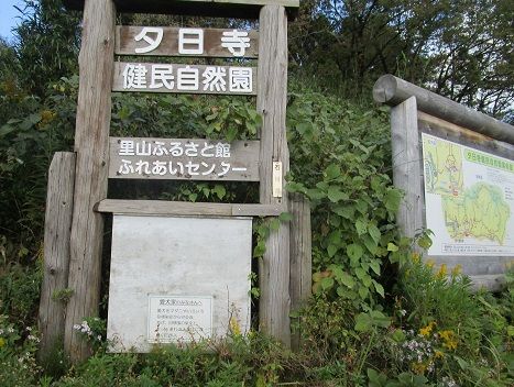 ⑧