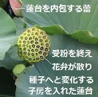 ⑱