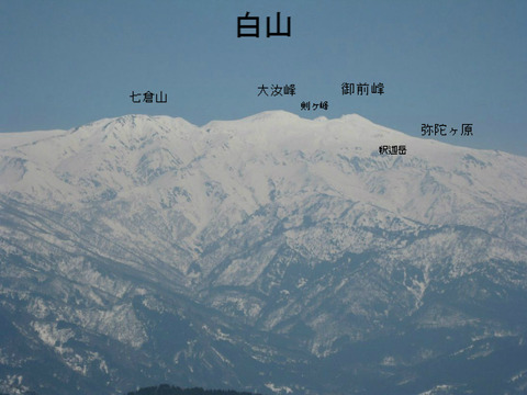 BlogPaint