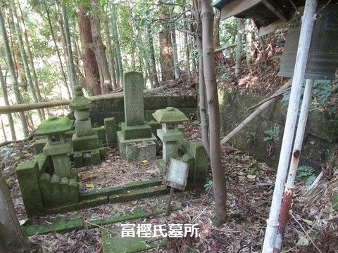 ⑤