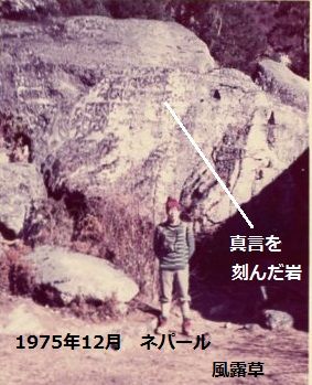 ⑭