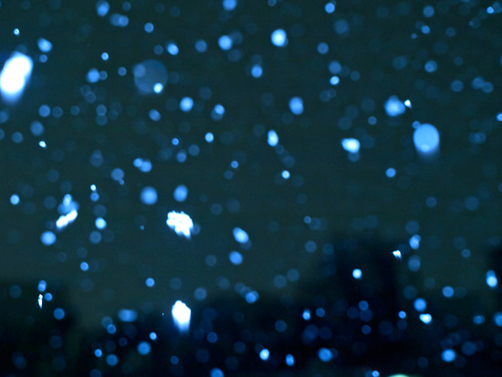 snow6