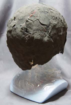 99P5230012