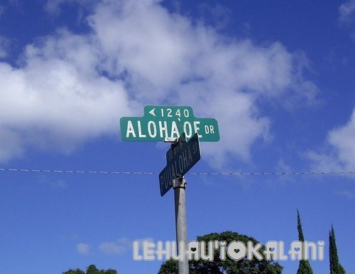ALOHA 'OE DR SIGN3a
