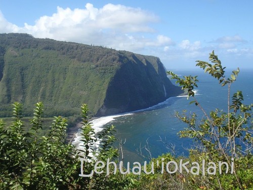 Hanau Ka Ua ハワイの雨の名辞典 Hānau Ka Ua: Hawaiian Rain