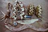 49b4982e.jpg