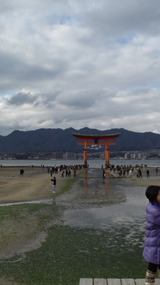 5f54a8e0.jpg