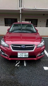 684e1896.jpg