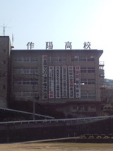 d22de354.jpg