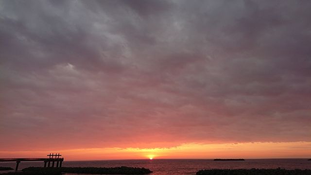 20180713¼ÖÃæÇñ¤Îι7·î51