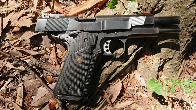 WA¡¡M1911A1¥Ö¥ë¡¼¥¤¥ó¥°¤Î´¬¡Á¹ÝÅ´½Æ¢¡Á