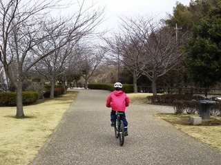 20140223_002k