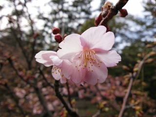 20140223_008k