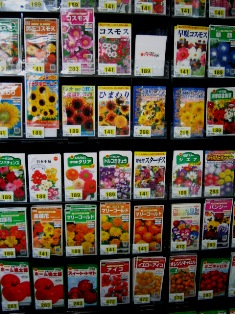 お花