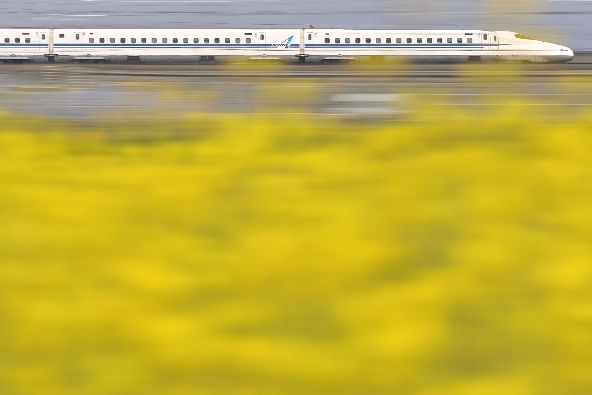 7D2_20160409 (38)