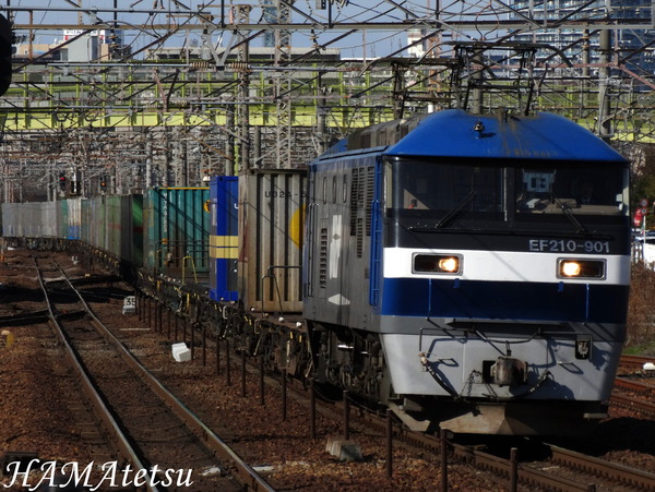 DSC07290
