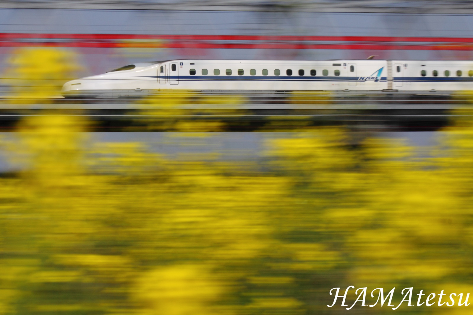 DPP_6618