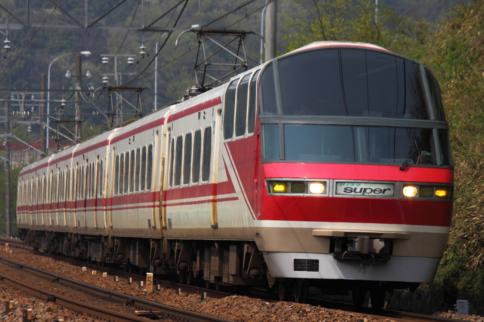 DPP_6658