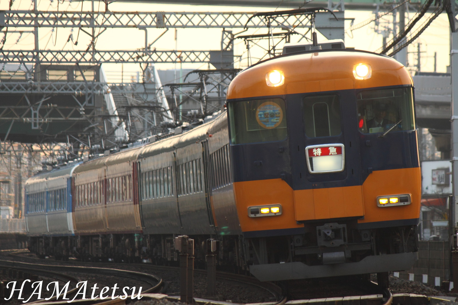 DPP_6527