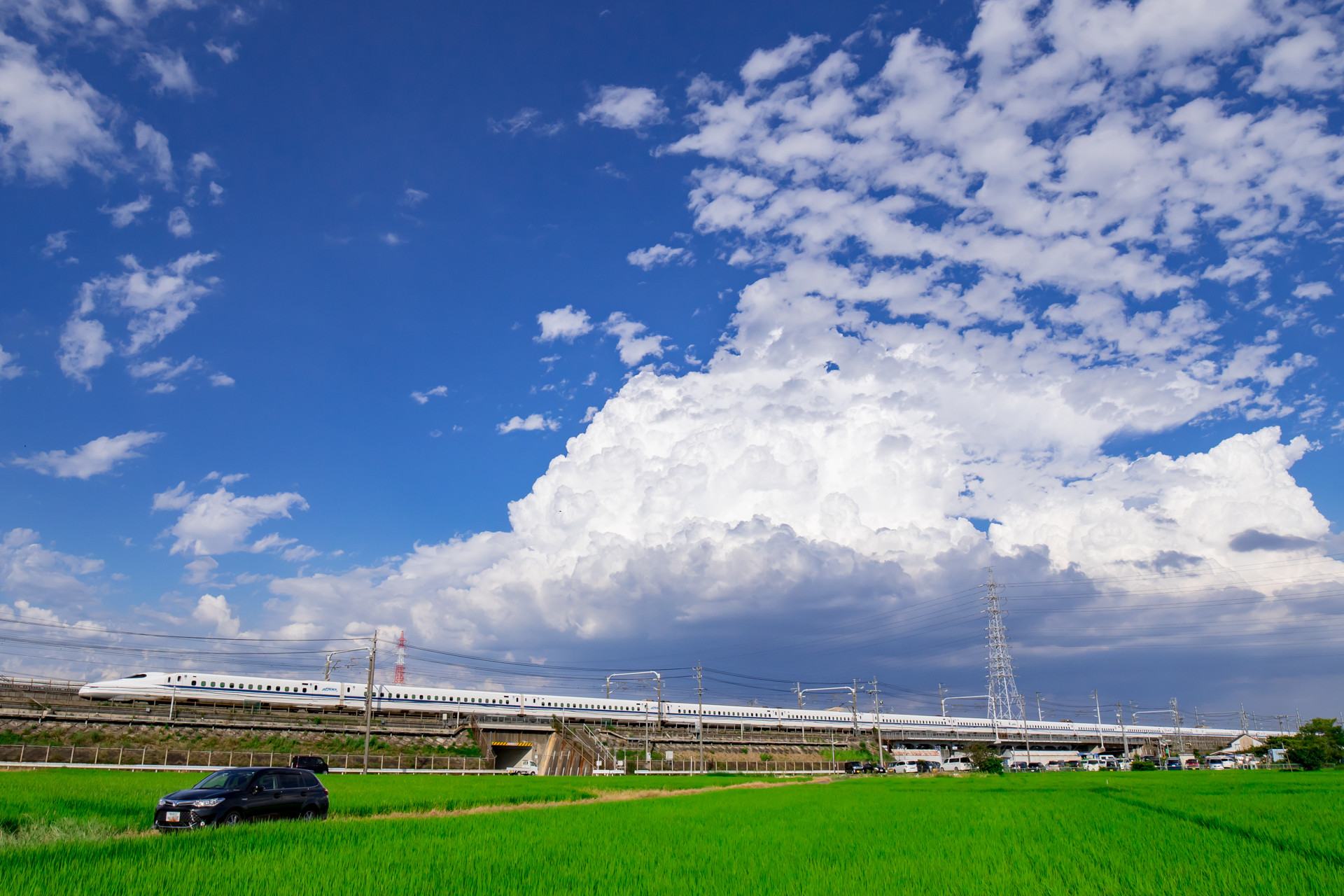 7D2_20160823 (11)