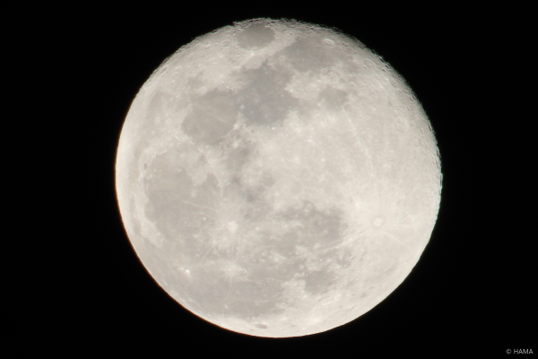 IMGP9860pef_t1shot_s