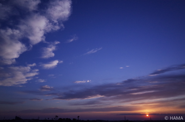 R0035243as