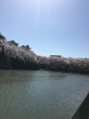 s-IMG_0051
