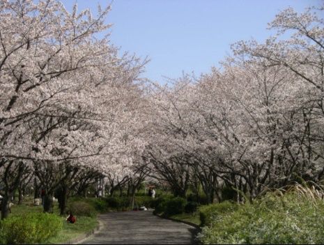 平和公園