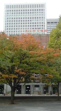 Kokaido