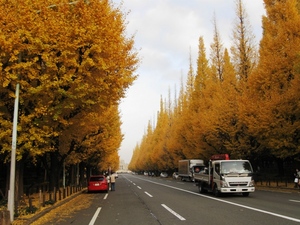 Gaien_IchoSS