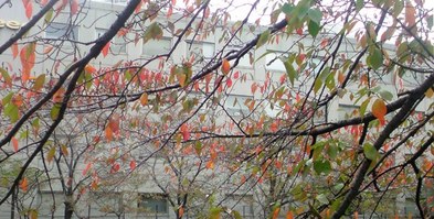 20091023_001