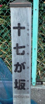 17ga_saka