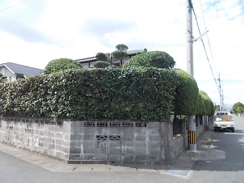 DSCN0712