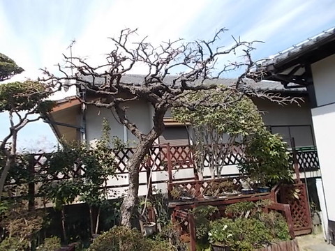 DSCN1137